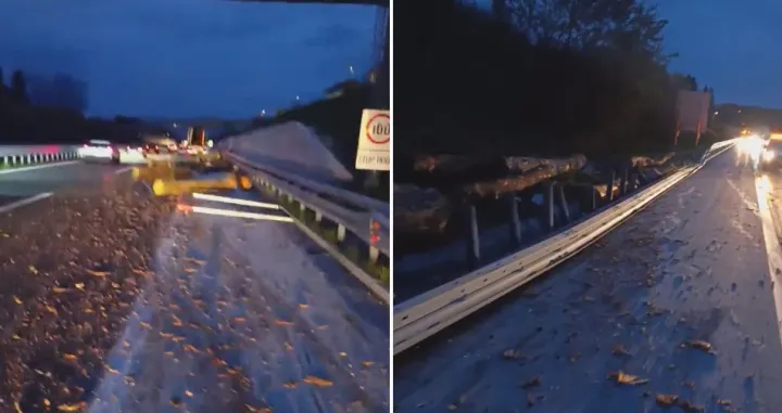 / Screenshot/Čitatelj 