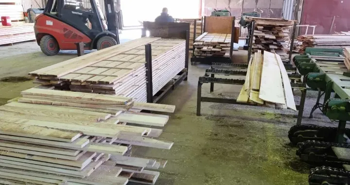 DI Sanica, pola miliona za pola godine/