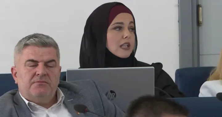 Elza Gaković u Skupštini Kantona Sarajevo/