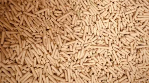 Ilustracija/ Pexels/