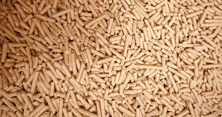 Ilustracija/ Pexels/