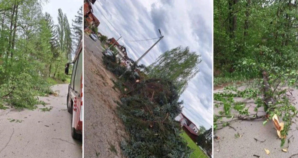 Kozarska dubica, vjetar čupao stabla i lomio grane /Rtv Kd