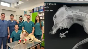 Screenshot/ BHRT via Crna hronika/