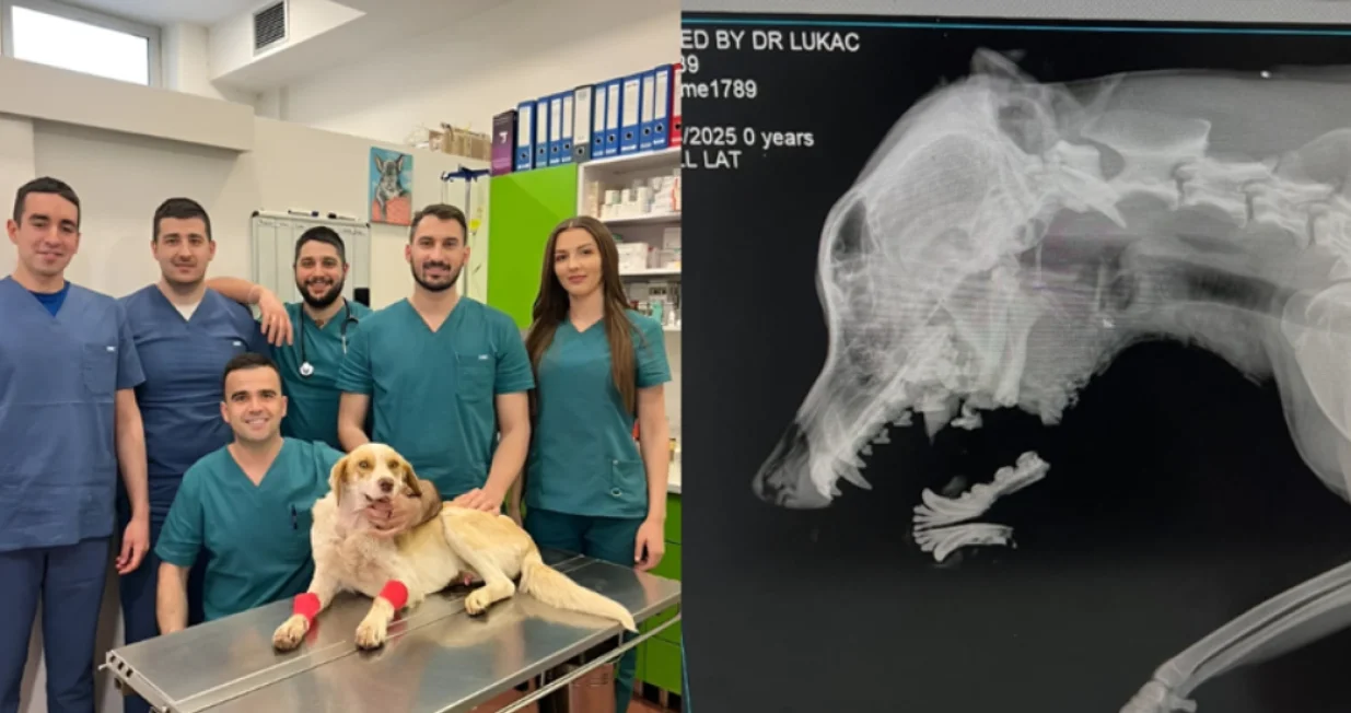 Screenshot/ BHRT via Crna hronika/