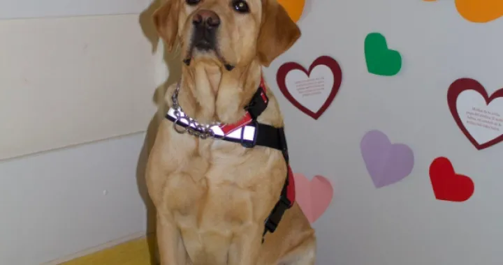 Foto: Klaićeva bolnica Zagreb via Jutarnji.hr/