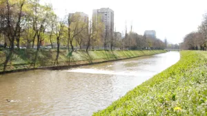 Proljeće ilustracije/Damir Deljo