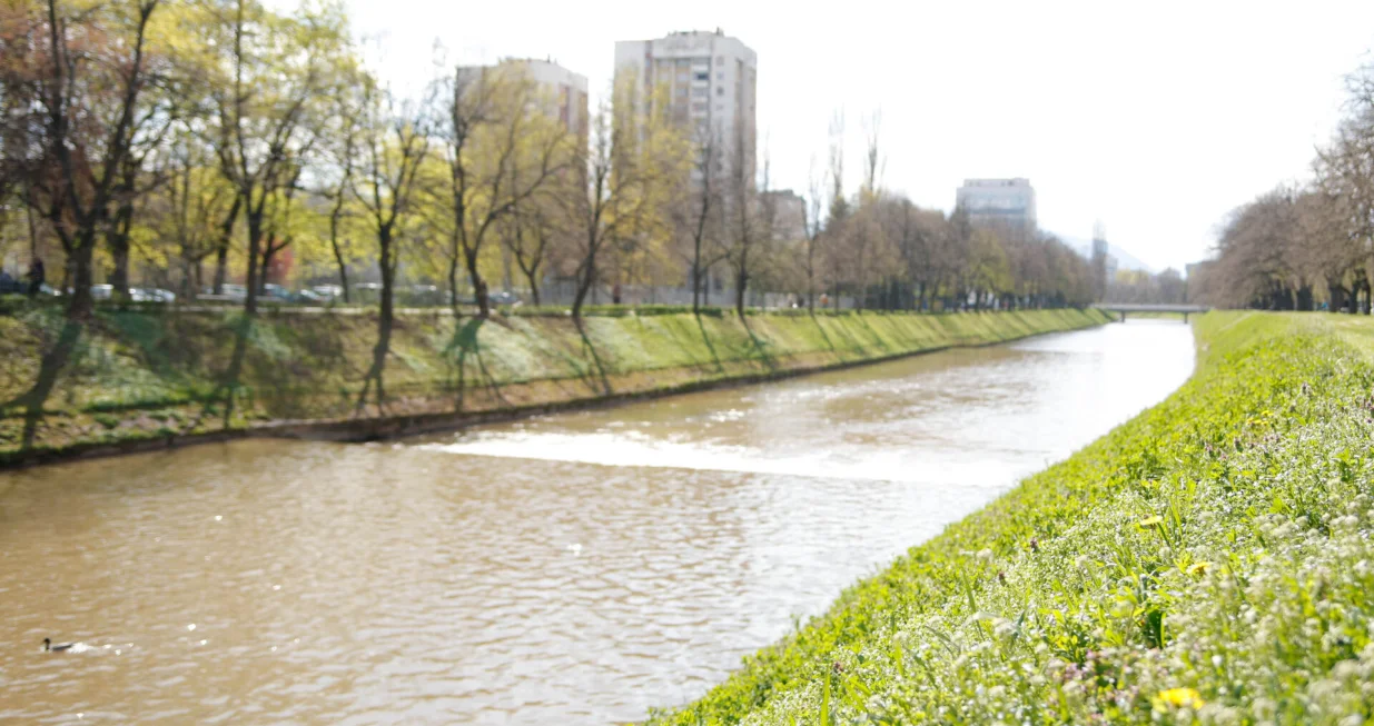 Proljeće ilustracije/Damir Deljo