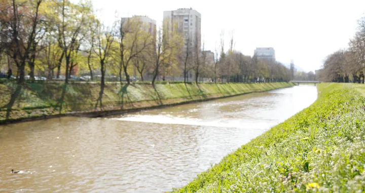 Proljeće ilustracije/Damir Deljo