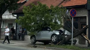 Policija obavila uviđaj/Srna//