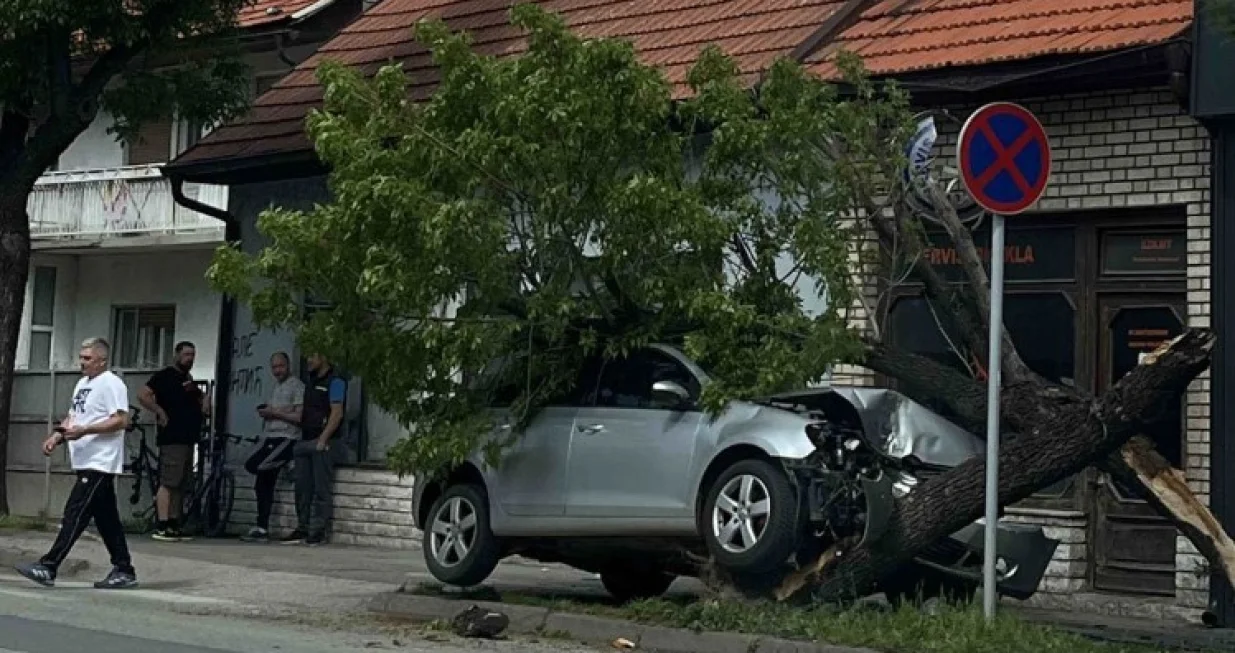 Policija obavila uviđaj/Srna//