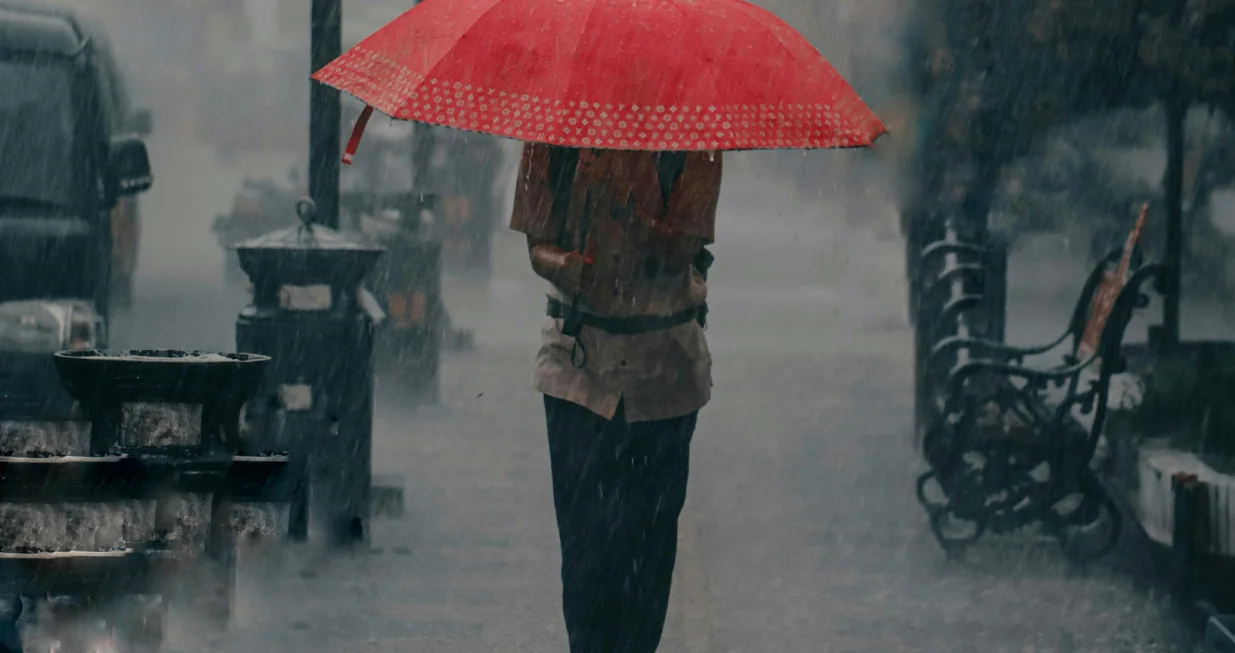 Kiša, pljusak/Ilustracija/Pexel