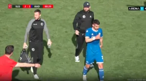 Janković i Teodorović