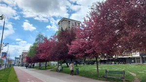 / Lejla Sofradžija/