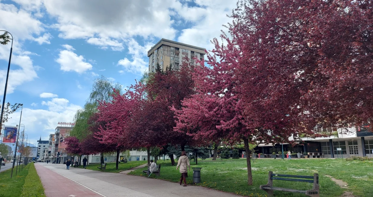 / Lejla Sofradžija/