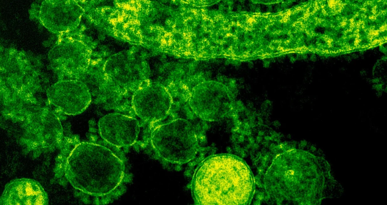 Ilustracija/ Pexels/