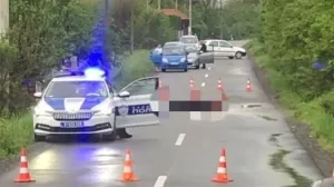 Jeziv prizore/192_rs/Instagram//