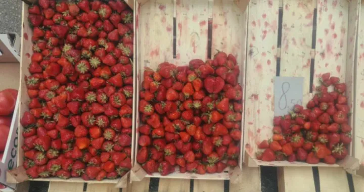 Screenshot/ Crnahronika.info/