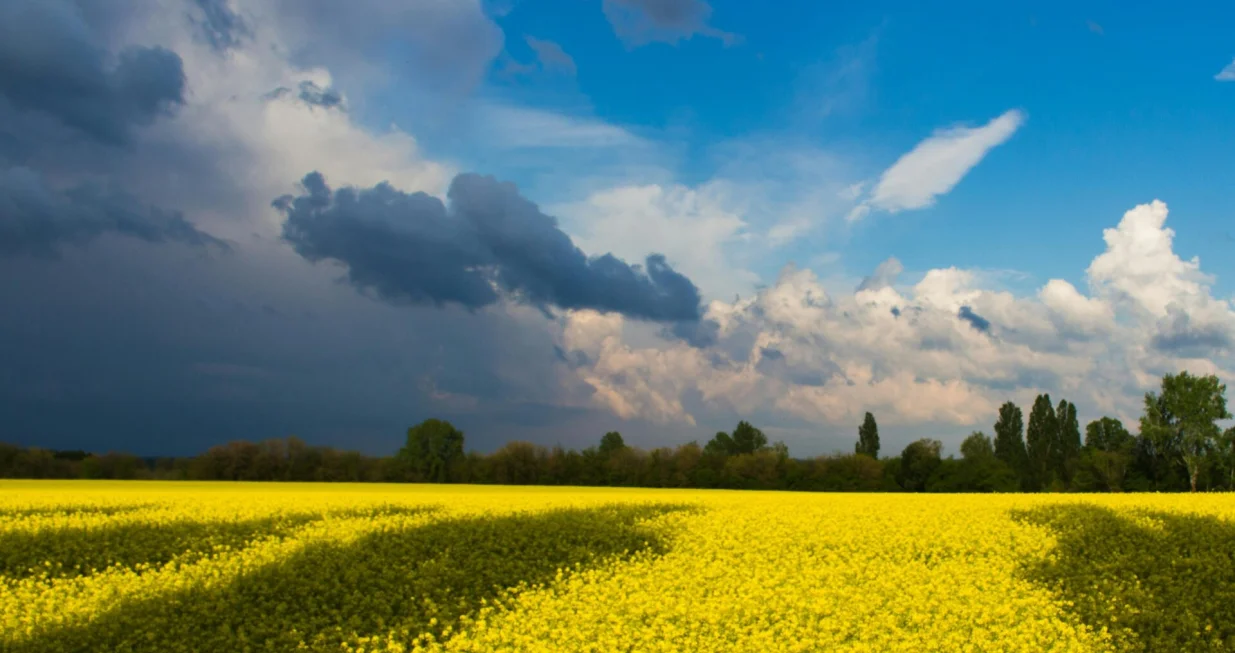 Stiže promjena vremena/Kostiantyn Stupak