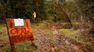 Širokaća/Curine njive rascjepi/Damir Deljo