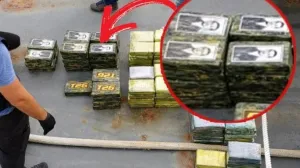 Oduzeta droga/Arhiv/Agencije//