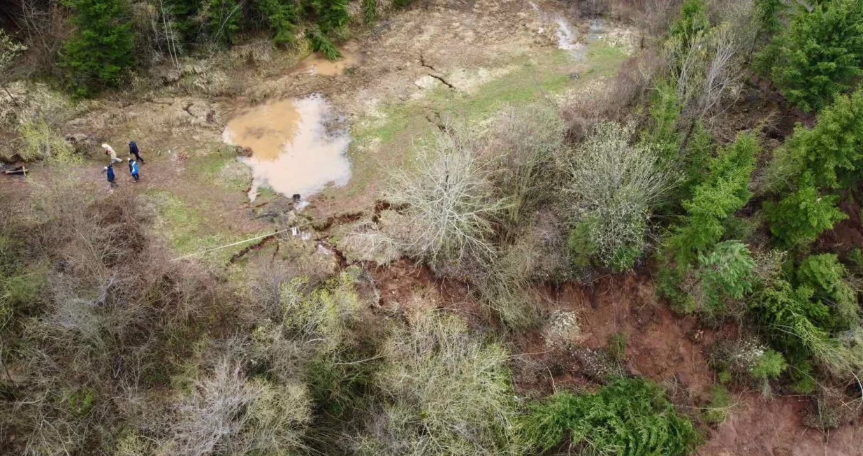 Curine njive/Samir Isaković