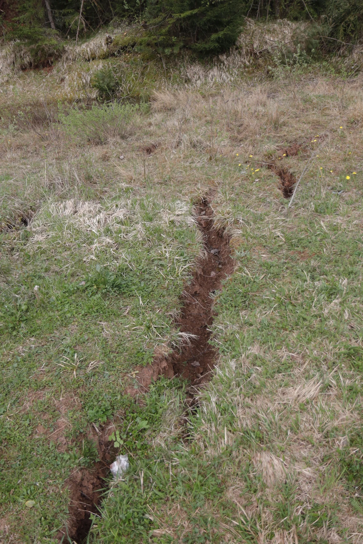 Curine njive klizište ilustracije/Senad Gubelić