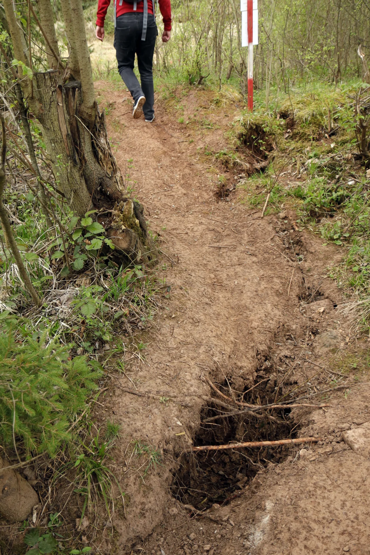Curine njive klizište ilustracije/Senad Gubelić