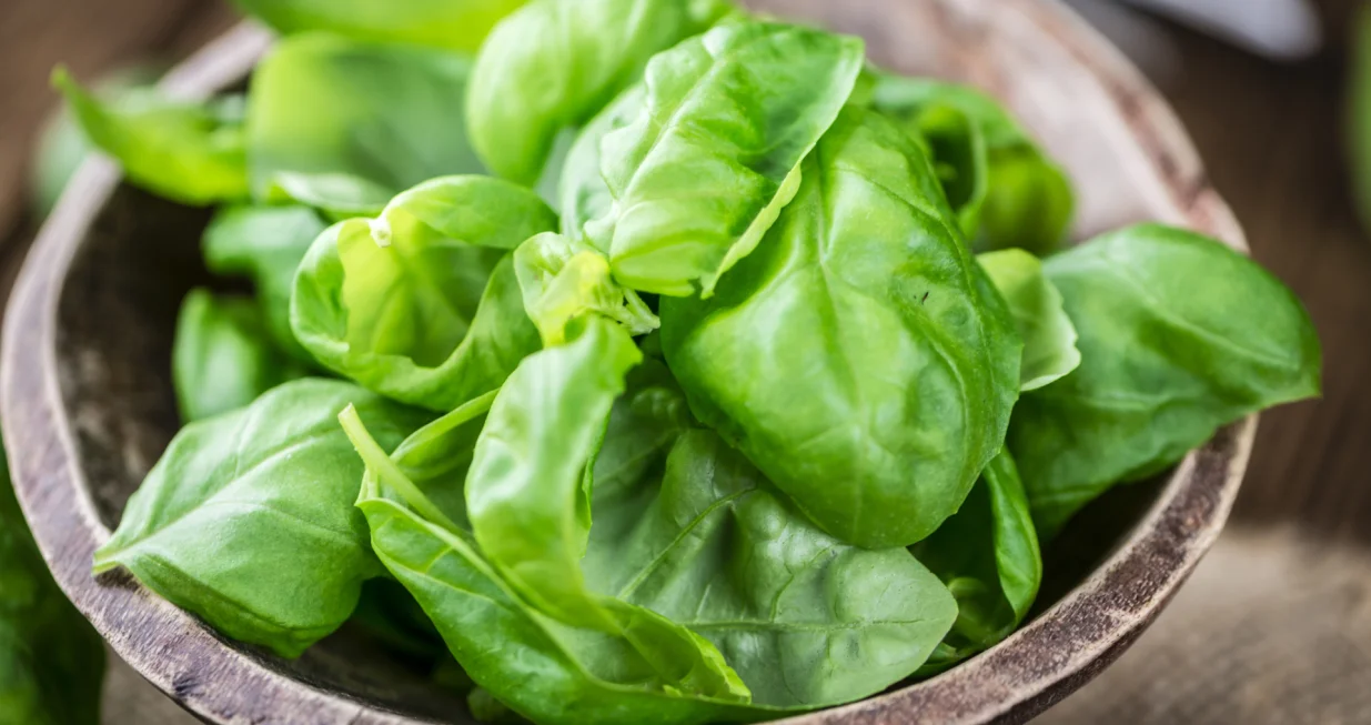 Bosiljak za/Handmadepictures