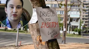 Benjamina karić, sječe drveća neće biti/Facebook/Oslobođenje