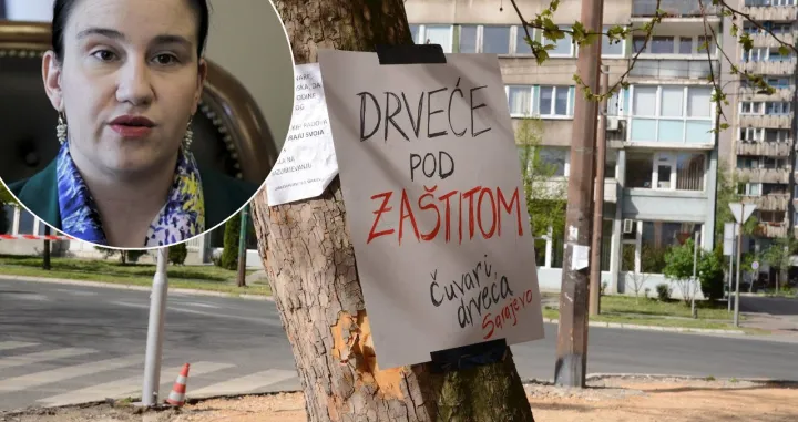 Benjamina karić, sječe drveća neće biti/Facebook/Oslobođenje