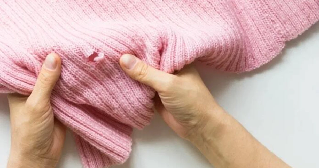 Moljci na odjeći/Shutterstock