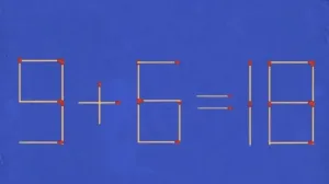 Mozgalica sa šibicama/Globalacademicinstitute.com