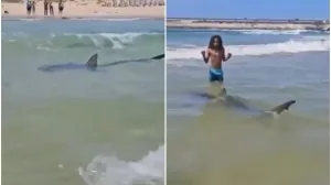 Objavljeni snimci/Printscreen/X.com//