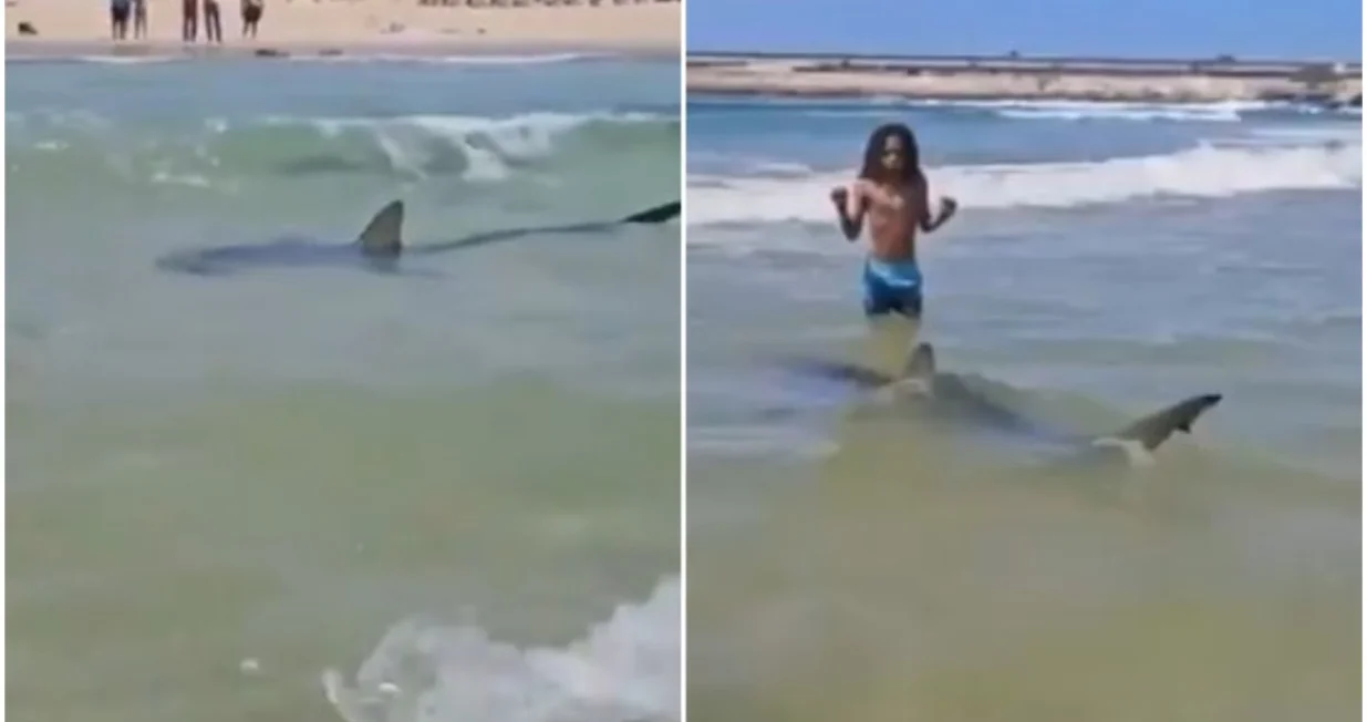 Objavljeni snimci/Printscreen/X.com//