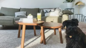 Tepih u dnevnoj sobi/Katja Rooke