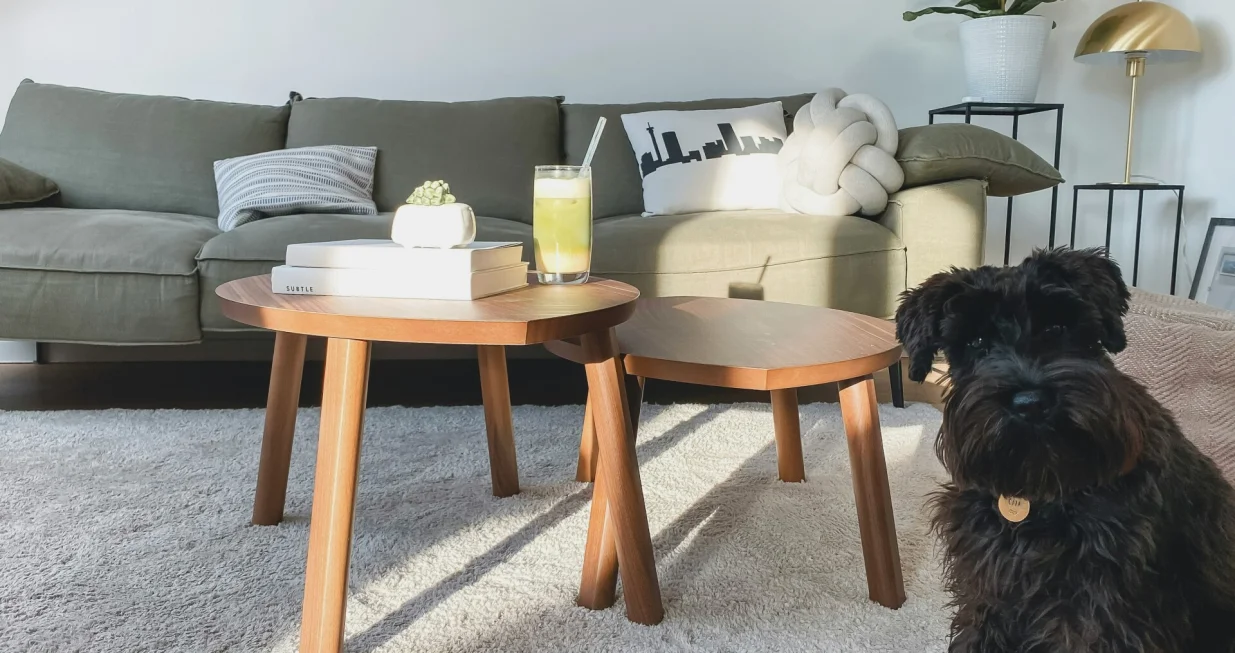 Tepih u dnevnoj sobi/Katja Rooke