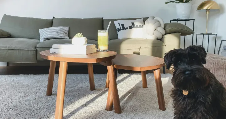 Tepih u dnevnoj sobi/Katja Rooke