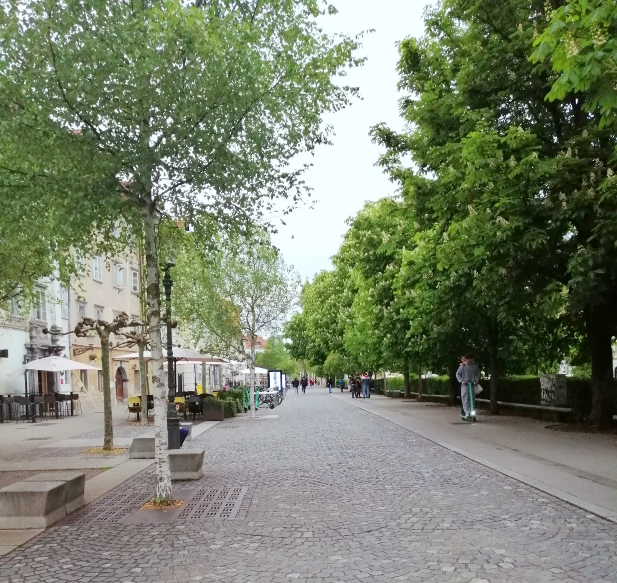 Pješačka zona uz rijeku Ljubljanicu/Picasa