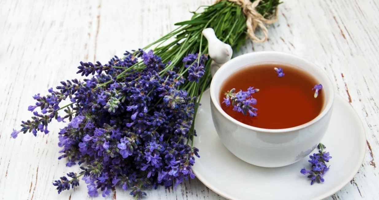 čaj od lavande/