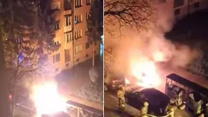 Automobil je potptpuno izgorio/Screenshot/Crna Hronika/Screenshot