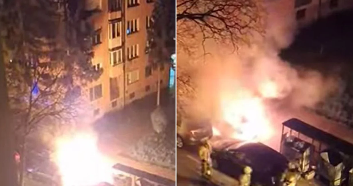 Automobil je potptpuno izgorio/Screenshot/Crna Hronika/Screenshot