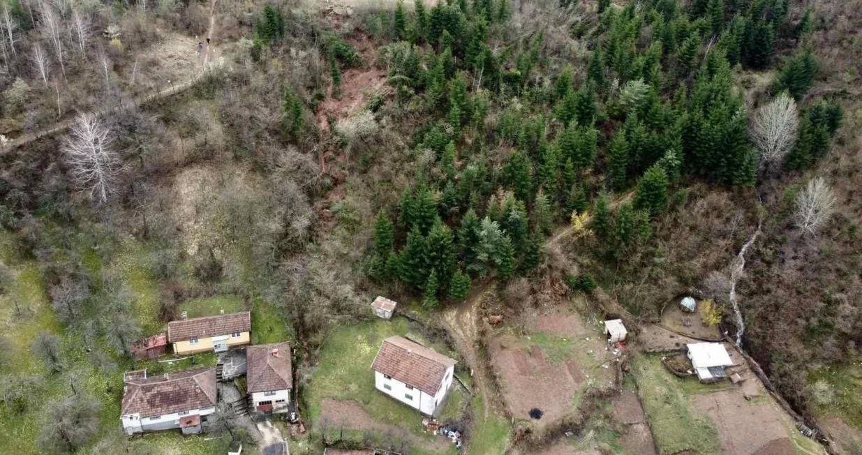 Curine njive/Samir Isaković