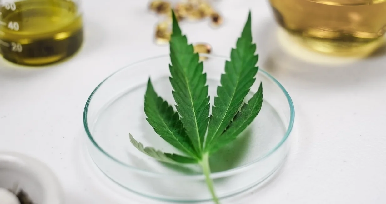 Analiza više od 10.000 naučnih radova/