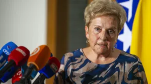 Sala Dom naroda Parlamenta BiH Marina Pendeš/Damir Deljo