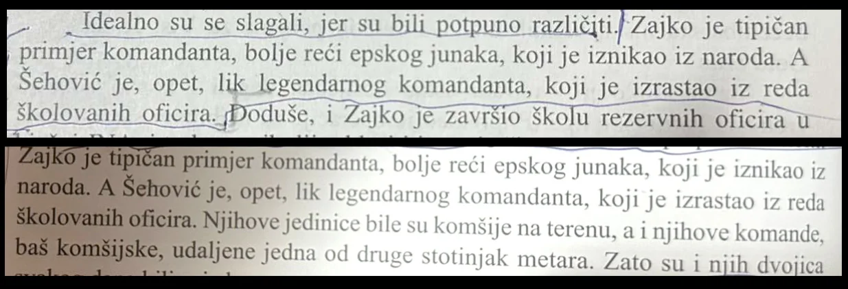 Šefko Hodžić plagijati/