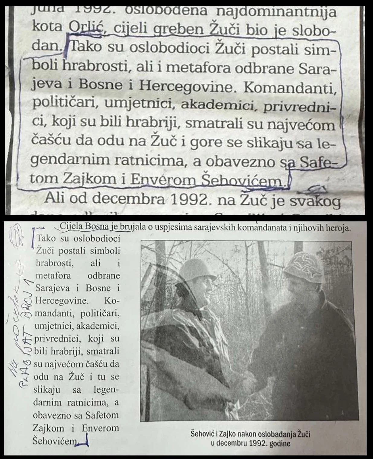 Šefko Hodžić plagijati/