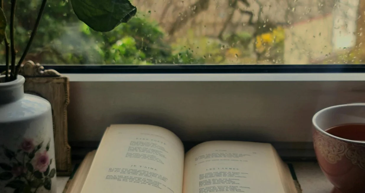 Čitanje knjige/Arsonela K