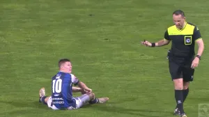 Aleksandar Njegomirović Madžid ŠOšić