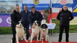 Najljepši tornjaci/Fena