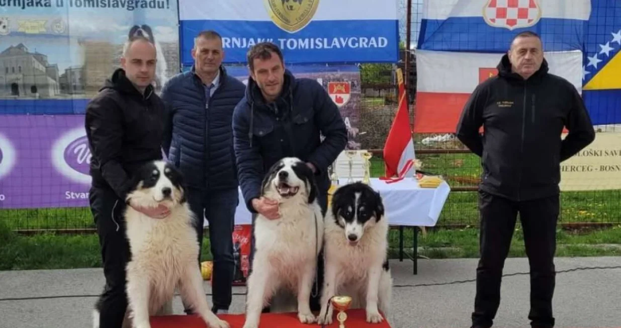 Najljepši tornjaci/Fena